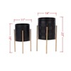 VisioGear 2PCS Planter with Metal Stand, Plant Pots for Hall, Living Room, Black & Gold, 14"*14"*23" - 3 of 4