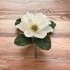 Floral Home 12" White Magnolia Pick - 12-Piece - 3 of 4