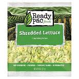 Ready Pac Foods Shredded Iceberg Lettuce - 8oz