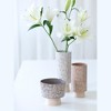 Alameda Grey Floral Planter Vase - Shiraleah - 4 of 4