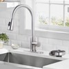 WOWOW Pentagram Fan Blade Sink Glass Rinser for Kitchen Sink in Brushed Nickel - 2 of 4