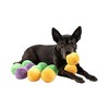 Midlee Squeaky and Crinkley Plush Dog Balls (Refill for Midlee Hide a Ball) - 3 of 4