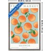 Trends International Reinders: Fruit Market - Valencia Oranges Framed Wall Poster Prints - 3 of 4