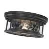 Clarion 12" Glass Flush Mount Light - Dimmable, 2 Bulbs, Damp Rated, Transitional Design - 2 of 4