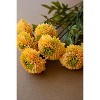 Bundle of Seven Artificial Dahlias 18"H – Yellow (6 X Set of 7) By Kalalou - 3 of 4