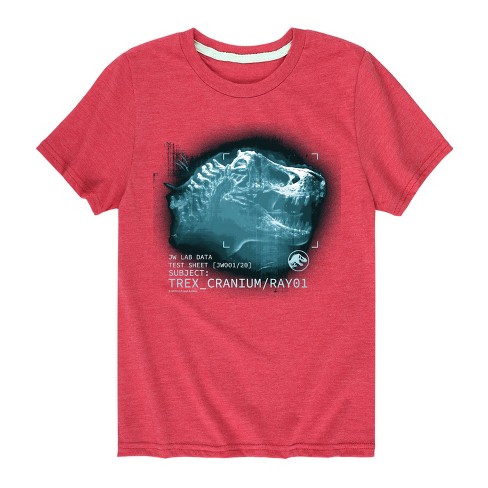 Boys' - Jurassic World - T Rex Skull X-Ray Lab Data Short Sleeve Graphic T-Shirt - image 1 of 4