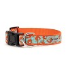 Shrimp Adjustable Dog Collar - The Worthy Dog - image 4 of 4