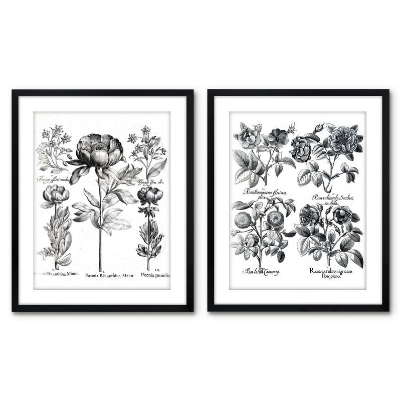 Americanflat 2 Piece 16x20 Wrapped Canvas Set - Besler by New York Botanical Garden - botanical Vintage Wall Art, 1 of 7
