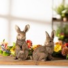 Melrose Garden Rabbit Figurine (Set of 3) - 3 of 4