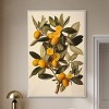 Art Remedy Orange Oasis Glow Vintage Prints Framed - 2 of 4