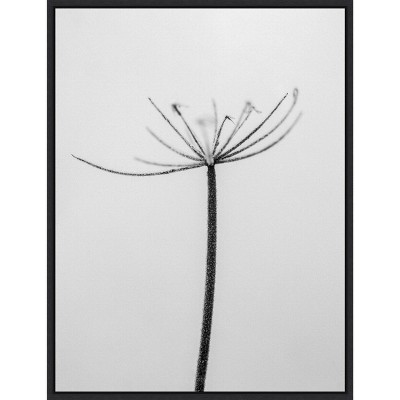 Amanti Art Amid the Flowers 6 by Teis Albers Canvas Wall Art Print Framed 18 x 24-in.