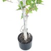 Nature Spring Birch Artificial Tree - 60-Inch Potted Faux Plant with Natural Looking Leaves - image 3 of 4