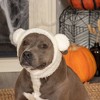 Flex-Fit Costume Hat for Dogs - 3 of 4