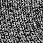 wynn charcoal