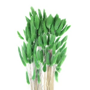 Unique Bargains Decorative Natural Dried Floral Bunny Tail Artificial Plants 120 Pcs - 1 of 4