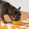 Heckova! Freeze-Dried Raw Chop Lickin' Chicken Flavor Recipe Topper/Mixer/Dog Treats - 4oz - 4 of 4