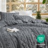 2-3 Pcs Tufted Boho Comforter Set Bed Set GentleSoft Farmhouse Shabby Chic Embroidery Bedding - 4 of 4