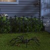 50" Plush Spider Halloween Decorative Prop - Hyde and EEK! Boutique™ - 2 of 3