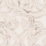 camel/ivory