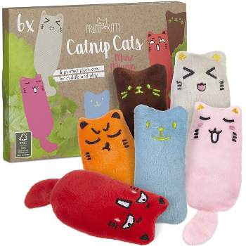 Pretty Kitty Catnip Toys & Pillow Set - 6 Pieces