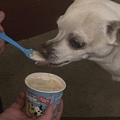 Dog ice cream clearance target