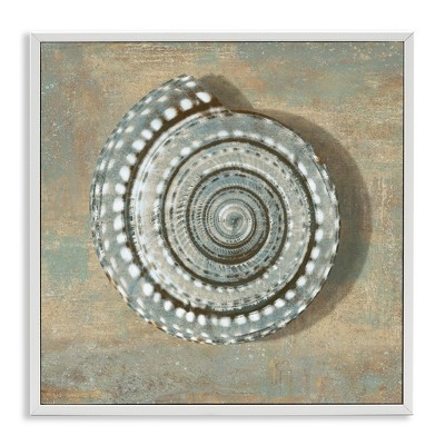 Stupell Industries Spiral Shell Beach Objects Design, 24" x 24"