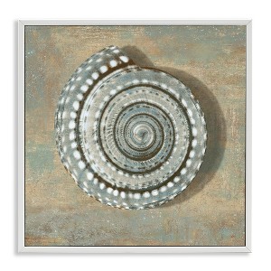 Stupell Industries Spiral Shell Beach Objects Design, 24" x 24" - 1 of 4