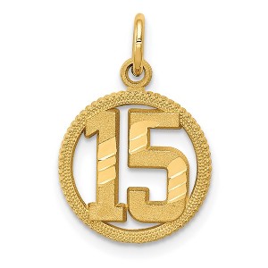 Black Bow Jewelry 14k Yellow Gold 15 Circle Charm or Pendant, 12mm - 1 of 4