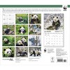 BrownTrout 2025 Wall Calendar 12"x14" Giant Pandas WWF - 2 of 4