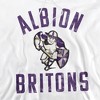 Albion College Official Britons Logo Adult Pull-Over Hoodie - 2 of 4