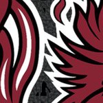 south carolina gamecocks