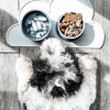 KindTail Portable 2pc Dog Bowl Set - 4 of 4