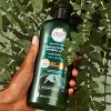 Herbal Essences Bio:renew Sulfate Free Shampoo for Scalp pH Balance with Eucalyptus & Potent Aloe - 13.5 fl oz - image 3 of 4