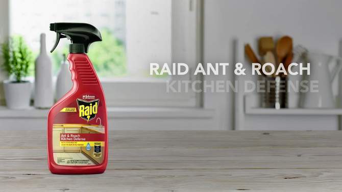 Raid Ant &#38; Roach Kitchen Defense - 22oz, 2 of 10, play video