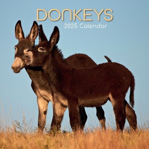 The Gifted Stationery 2025 Square Wall Calendar, Donkeys, 16-Month Animals Theme with 180 Reminder Stickers (12 x 12 In) - 1 of 4