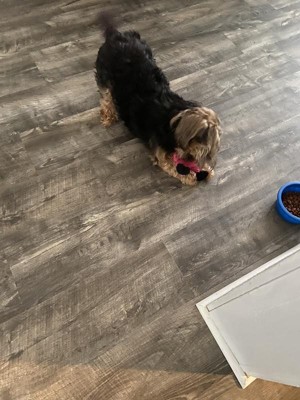 Guest review image 1 of 2, zoom in