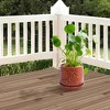 KTMBDW Plant Pots Indoor with Drainage, Garden Flower Pots for Indoor Planter, 2 Pack Ceramic Planters, Ideal for Office Home - 2 of 4
