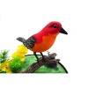 Singing & Chirping Bird In Cage - Realistic Sounds & Movements - 4 of 4