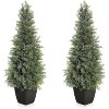 Artificial Cedar Topiary Tree with Real Wood Trunk - UV Resistant Faux Potted Plant for Outdoor/Indoor Use, - 2 of 4