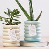 Totalee Gift Fake It Mint Planter Ceramic Green - 2 of 2