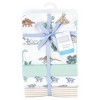 Hudson Baby Infant Boys Cotton Flannel Receiving Blankets, Boy Dino World, One Size - 2 of 4