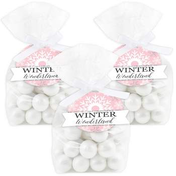 Big Dot of Happiness Pink Winter Wonderland - Holiday Snowflake Birthday Party and Baby Shower Clear Goodie Favor Bags - Treat Bags With Tags 12 Ct