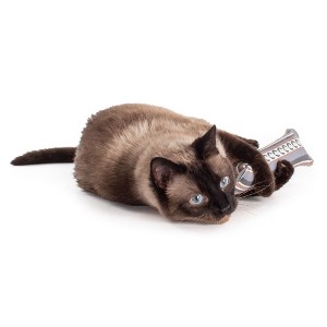 Hauspanther ModKickers by Primetime Petz Playtime Pleasures for Every Furry Friend - 1 of 4