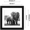 Americanflat Picture Frame with tempered shatter-resistant glass - Available in a variety of sizes and styles - 2 of 4