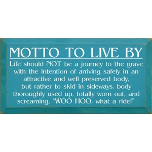 Slickblue Inspirational Wood Wall Sign – Life Is A Ride Quote – Rustic Decor Accent – 9x18 Inches, Multi Color Options - 1 of 3