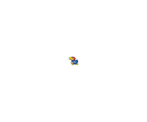 NCAA Kansas Jayhawks Necktie