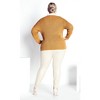 Avenue Women's Plus Size Primrose Sweater - 3 of 4