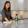 Weiman Granite & Stone Daily Clean & Shine with Disinfectant - 24oz - image 3 of 4