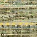 light green/multi