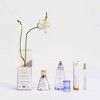 Good Chemistry™ Women's Eau De Parfum Perfume - Magnolia Violet - 1.7 fl oz - image 3 of 4